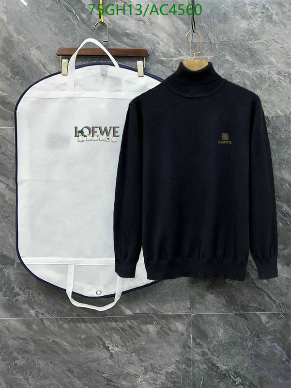 Loewe-Clothing Code: AC4560 $: 75USD