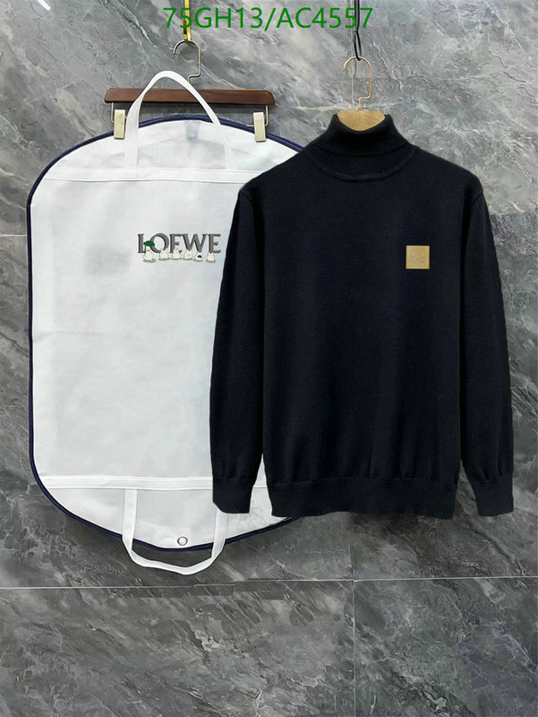 Loewe-Clothing Code: AC4557 $: 75USD