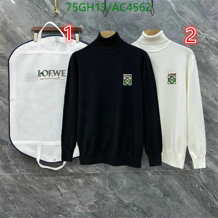 Loewe-Clothing Code: AC4562 $: 75USD