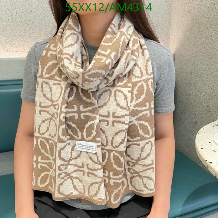 Loewe-Scarf Code: AM4314 $: 55USD