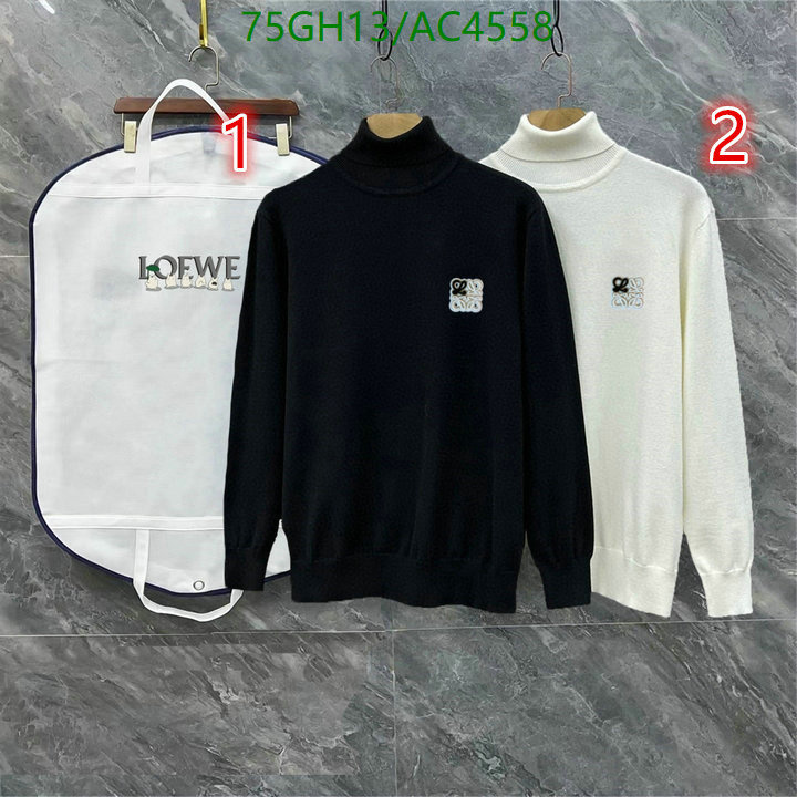 Loewe-Clothing Code: AC4558 $: 75USD