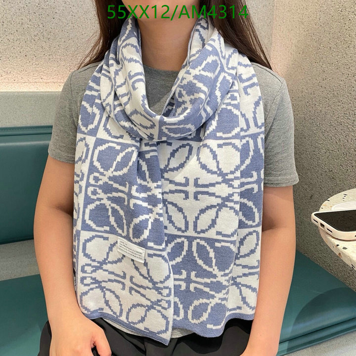 Loewe-Scarf Code: AM4314 $: 55USD