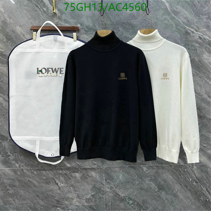 Loewe-Clothing Code: AC4560 $: 75USD