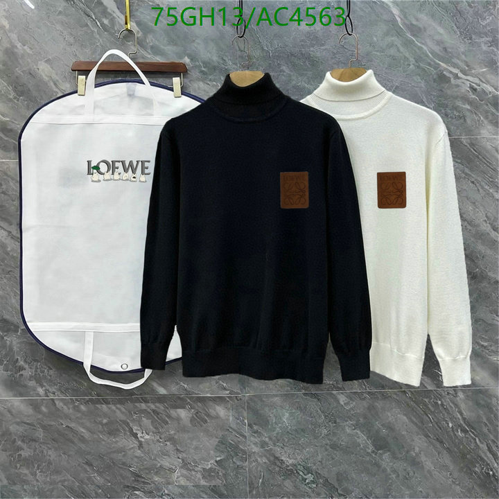 Loewe-Clothing Code: AC4563 $: 75USD