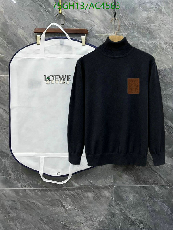 Loewe-Clothing Code: AC4563 $: 75USD