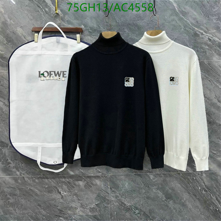 Loewe-Clothing Code: AC4558 $: 75USD