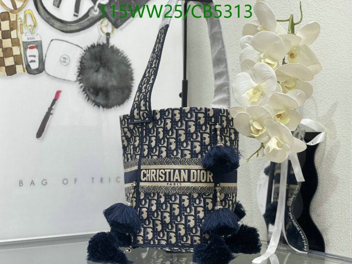 Dior-Bag-Mirror Quality Code: CB5313 $: 115USD