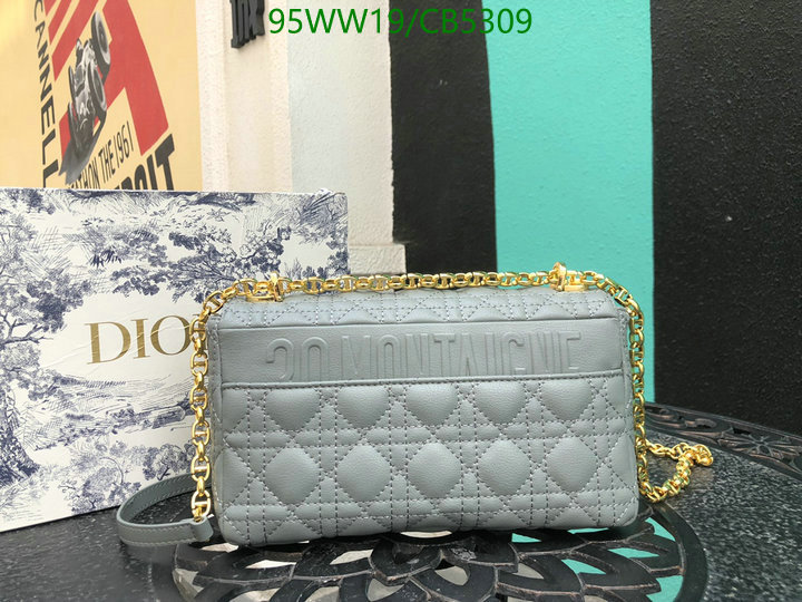 Dior-Bag-4A Quality Code: CB5309 $: 95USD