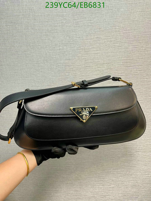 Prada-Bag-Mirror Quality Code: EB6831 $: 239USD