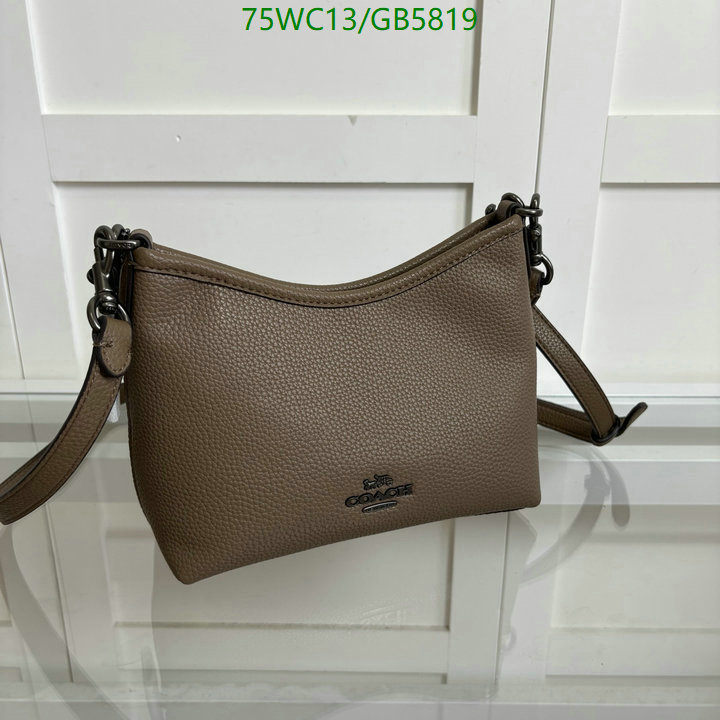 Coach-Bag-4A Quality Code: GB5819 $: 75USD