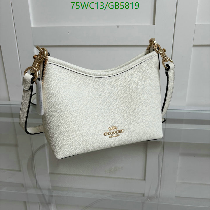 Coach-Bag-4A Quality Code: GB5819 $: 75USD