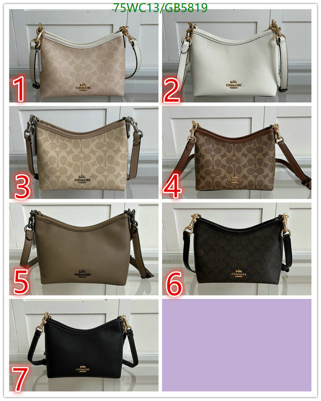 Coach-Bag-4A Quality Code: GB5819 $: 75USD
