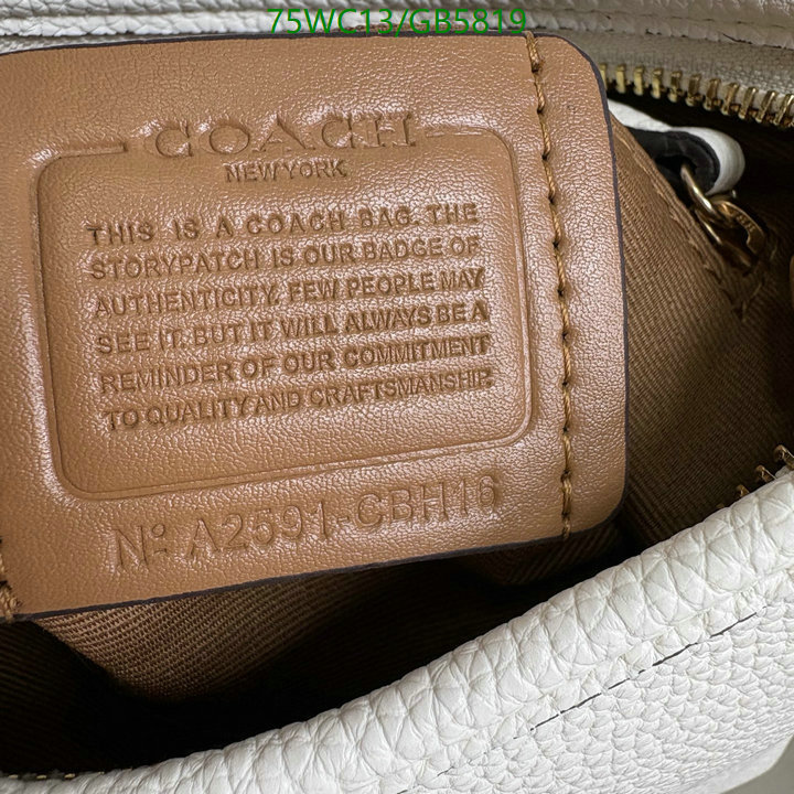 Coach-Bag-4A Quality Code: GB5819 $: 75USD