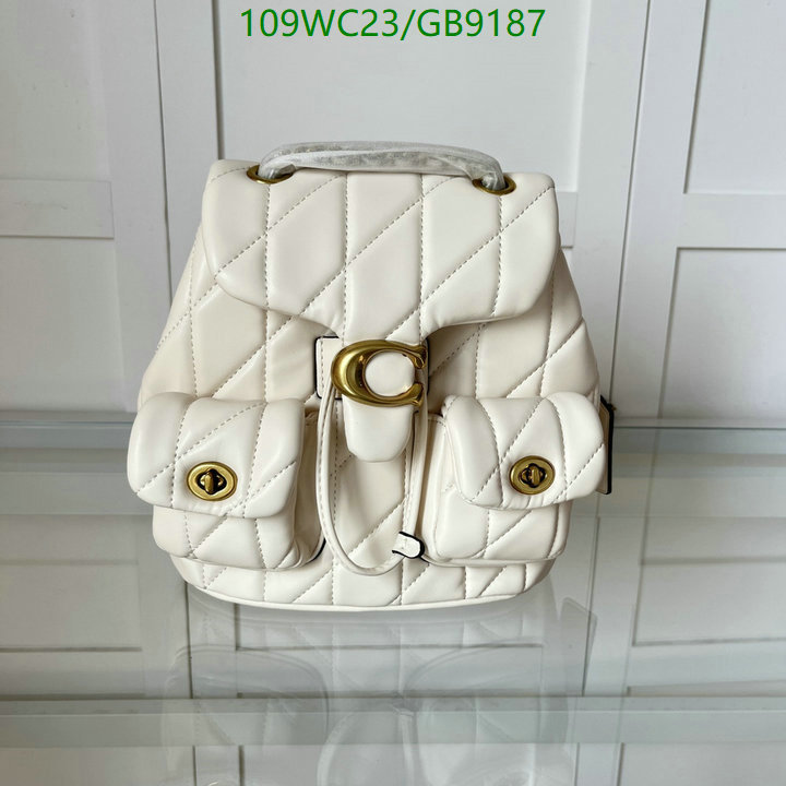 Coach-Bag-4A Quality Code: GB9187 $: 109USD