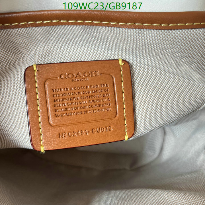 Coach-Bag-4A Quality Code: GB9187 $: 109USD