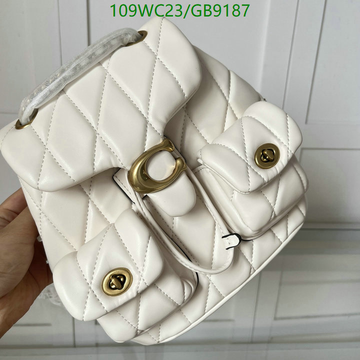 Coach-Bag-4A Quality Code: GB9187 $: 109USD