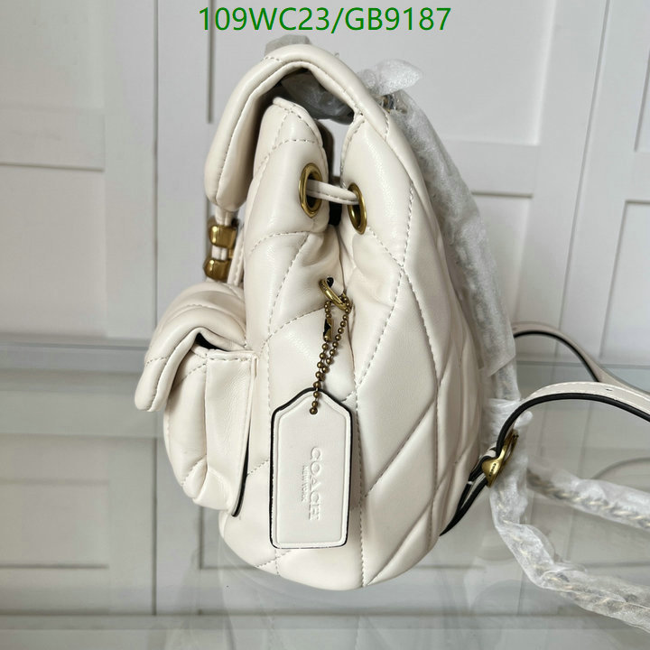 Coach-Bag-4A Quality Code: GB9187 $: 109USD