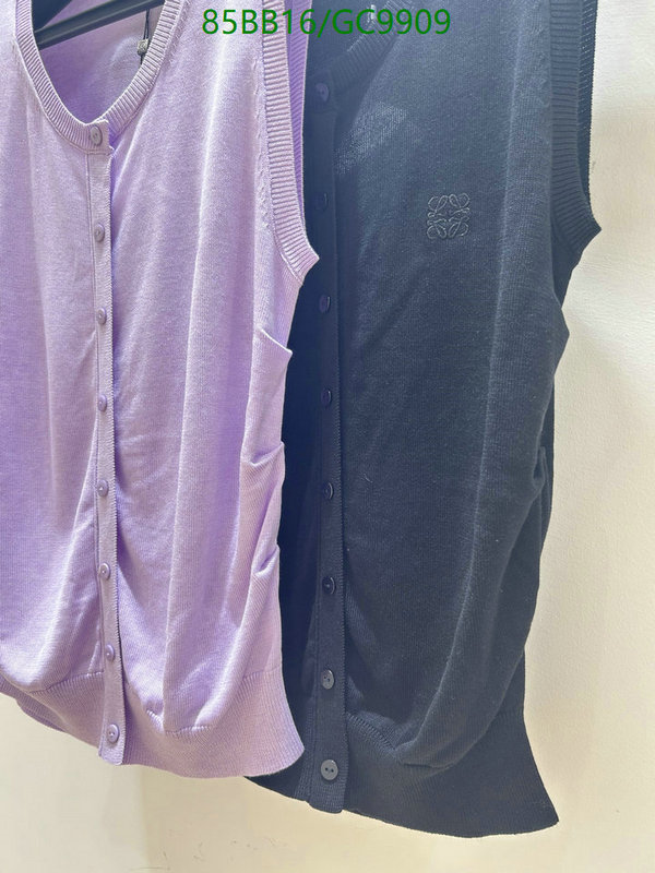 Loewe-Clothing Code: GC9909 $: 85USD