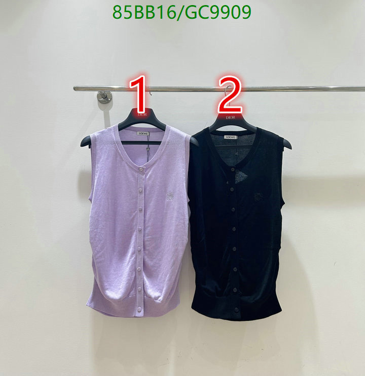 Loewe-Clothing Code: GC9909 $: 85USD