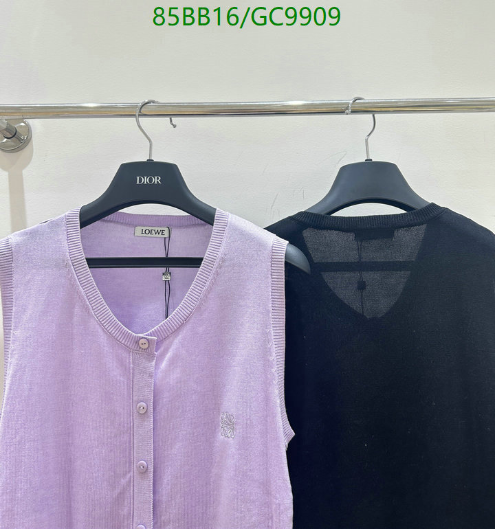 Loewe-Clothing Code: GC9909 $: 85USD