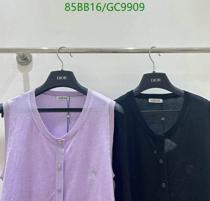 Loewe-Clothing Code: GC9909 $: 85USD