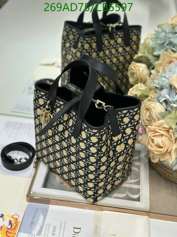 Dior-Bag-Mirror Quality Code: CB5597 $: 269USD