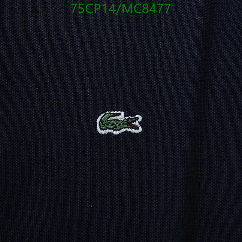 Lacoste-Clothing Code: MC8477 $: 75USD