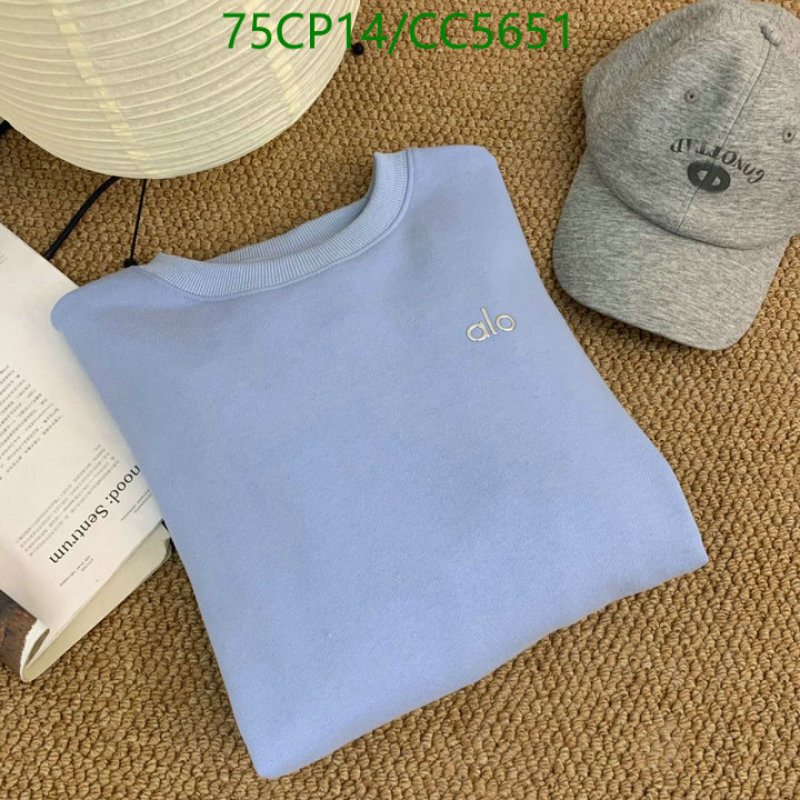 Alo Yoga-Clothing Code: CC5651 $: 75USD