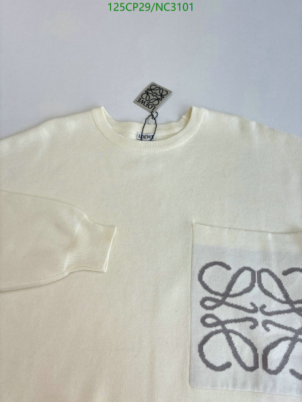 Loewe-Clothing Code: NC3101 $: 125USD