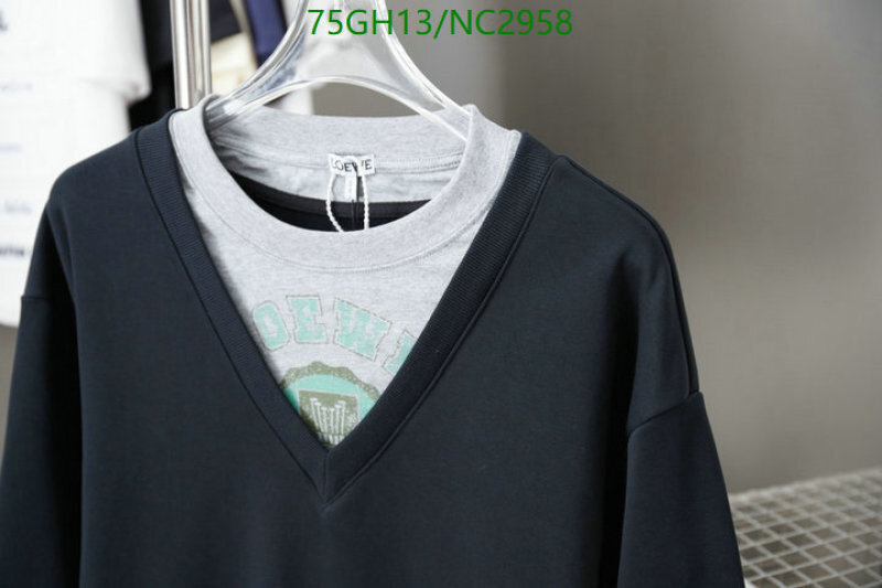 Loewe-Clothing Code: NC2958 $: 75USD