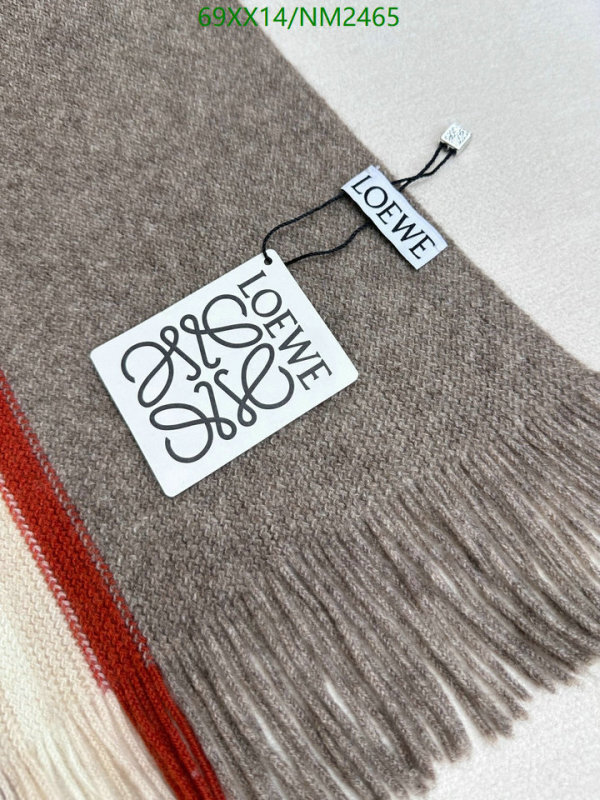 Loewe-Scarf Code: NM2465 $: 69USD