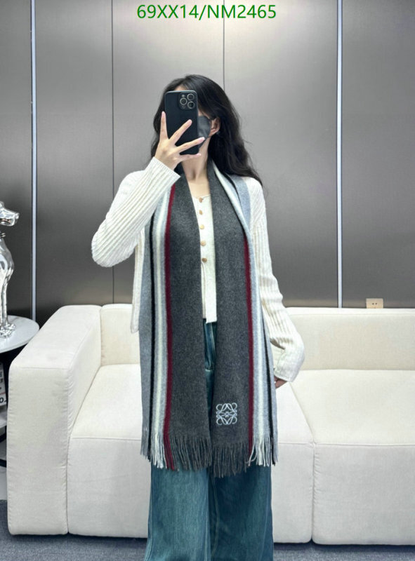 Loewe-Scarf Code: NM2465 $: 69USD