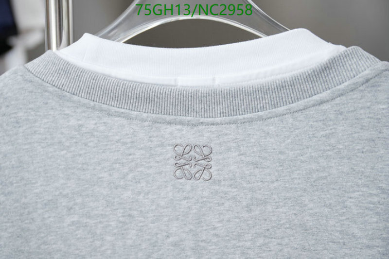 Loewe-Clothing Code: NC2958 $: 75USD