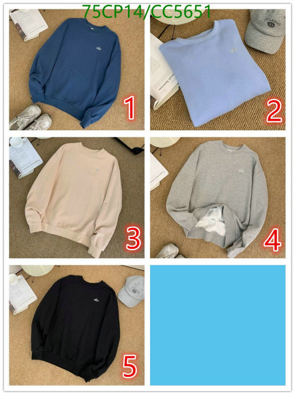 Alo Yoga-Clothing Code: CC5651 $: 75USD
