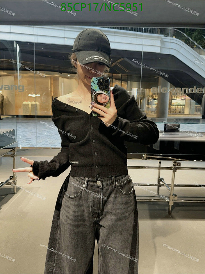 Alexander Wang-Clothing Code: NC5951 $: 85USD