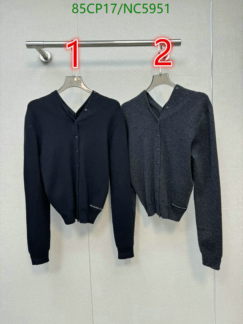 Alexander Wang-Clothing Code: NC5951 $: 85USD