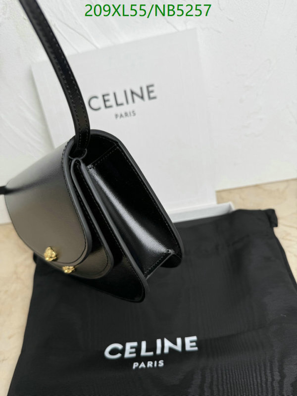 Celine-Bag-Mirror Quality Code: NB5257 $: 209USD