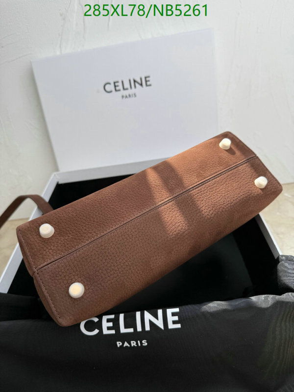 Celine-Bag-Mirror Quality Code: NB5261