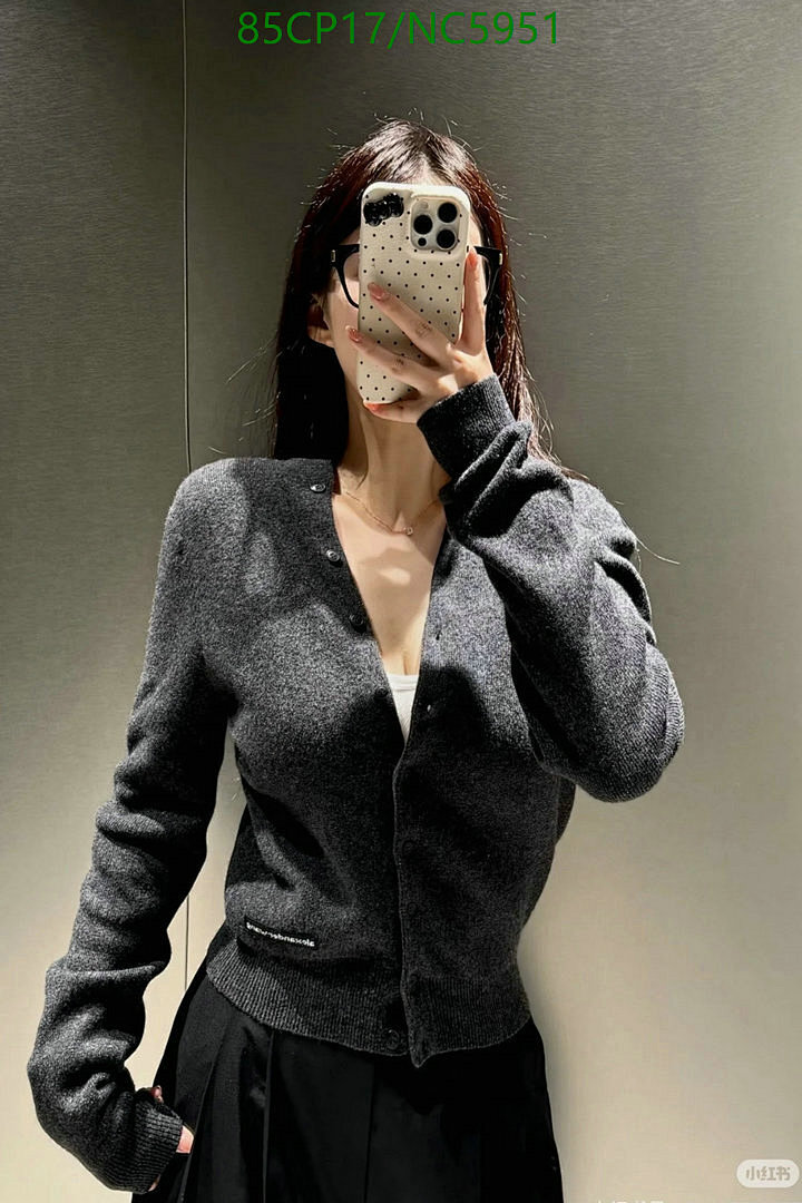 Alexander Wang-Clothing Code: NC5951 $: 85USD