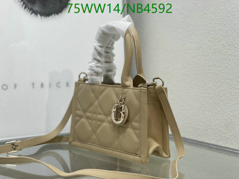 Dior-Bag-4A Quality Code: NB4592 $: 75USD