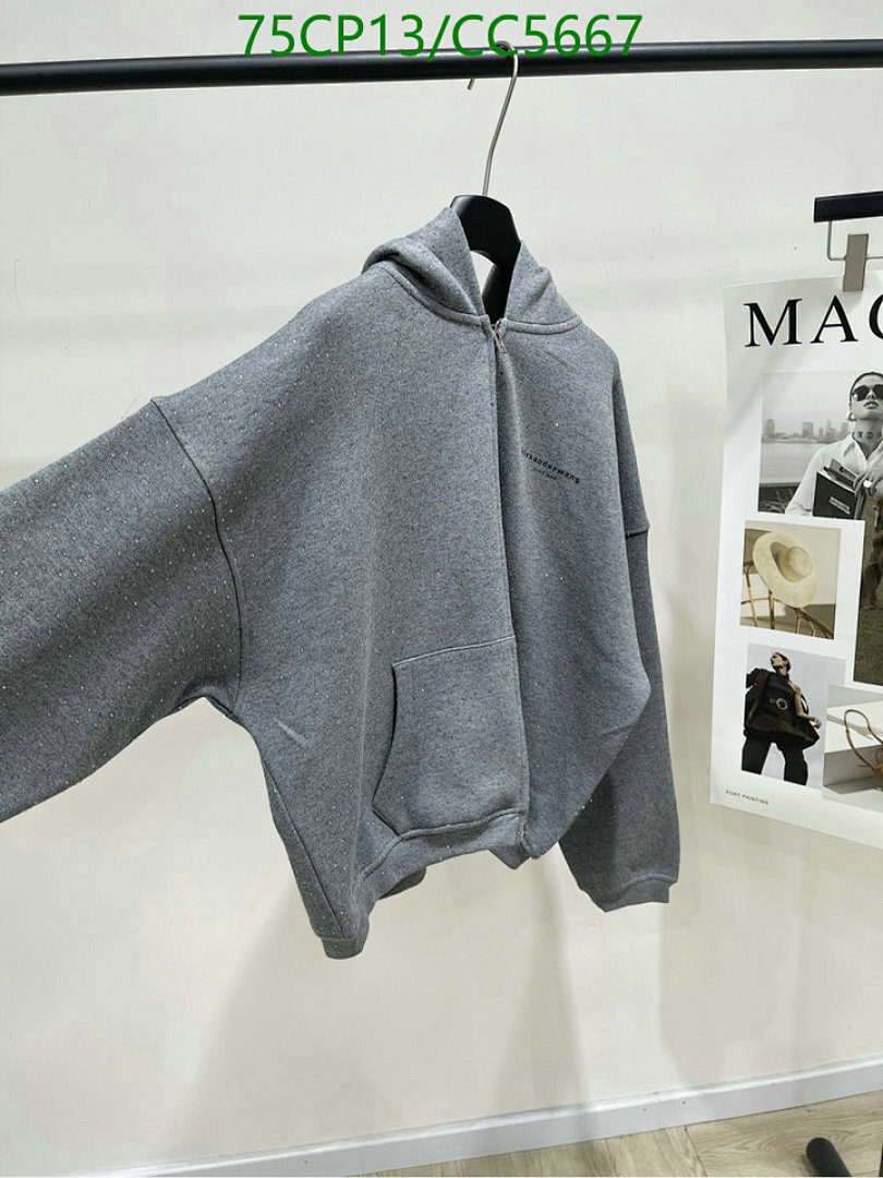 Alexander Wang-Clothing Code: CC5667 $: 75USD