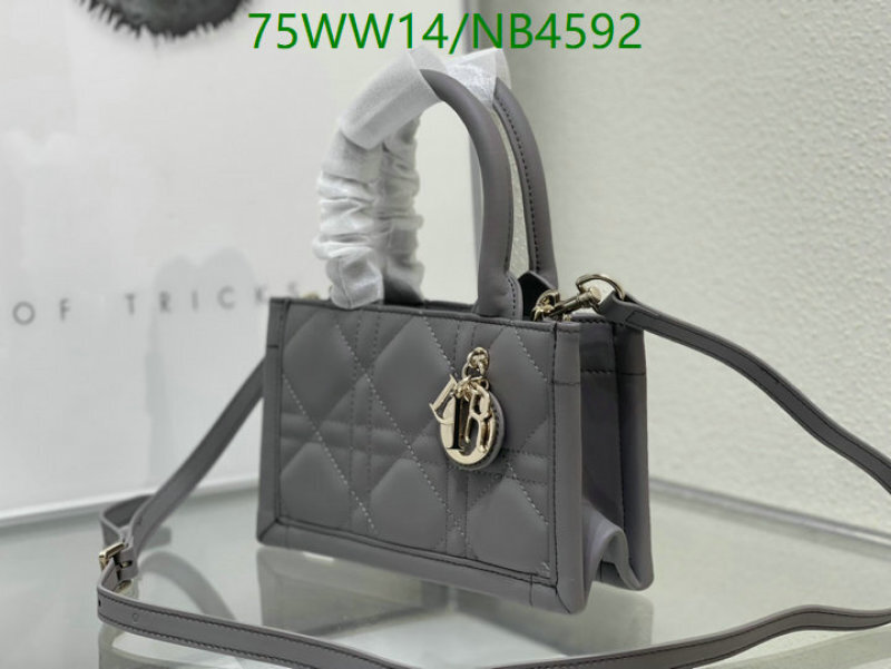 Dior-Bag-4A Quality Code: NB4592 $: 75USD