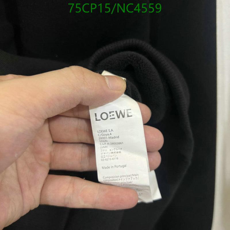 Loewe-Clothing Code: NC4559 $: 75USD