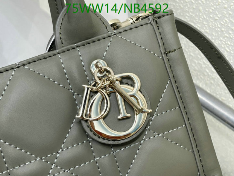 Dior-Bag-4A Quality Code: NB4592 $: 75USD