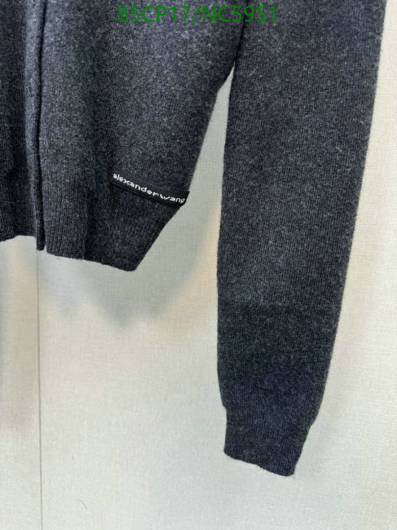 Alexander Wang-Clothing Code: NC5951 $: 85USD