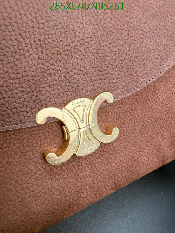 Celine-Bag-Mirror Quality Code: NB5261