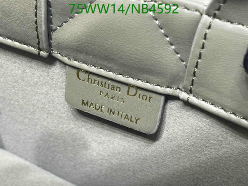 Dior-Bag-4A Quality Code: NB4592 $: 75USD