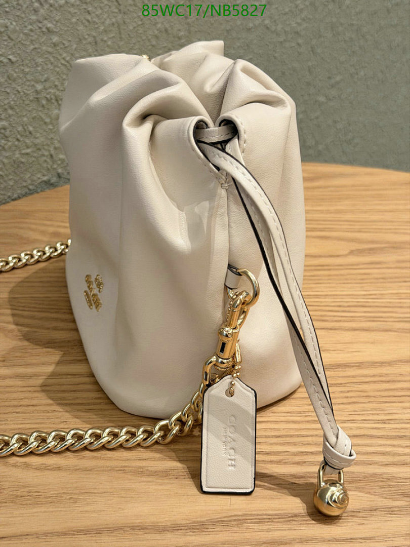 Coach-Bag-4A Quality Code: NB5827 $: 85USD