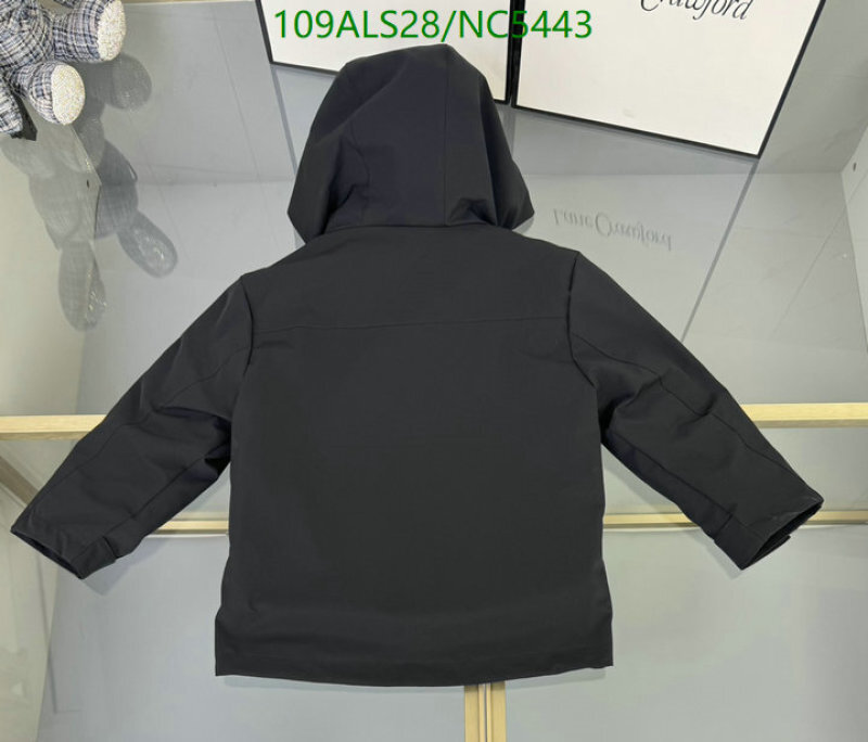 ARCTERYX-Kids Clothing Code: NC5443 $: 109USD