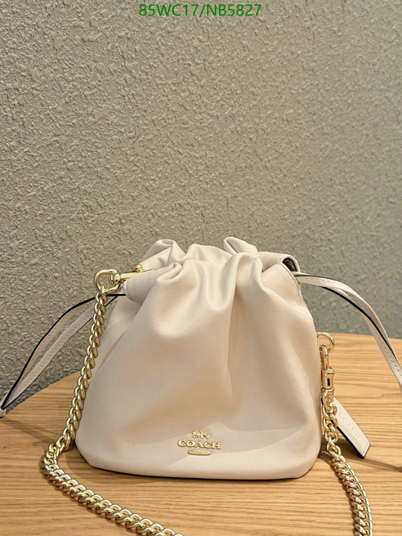 Coach-Bag-4A Quality Code: NB5827 $: 85USD